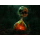 PlayStation Until Dawn 2 - 1596074 - zdjęcie 4